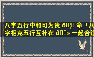 八字五行中和可为贵 🦄 命「八字相克五行互补在 🌻 一起合适吗」